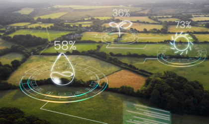 Data and AI Robustness Project