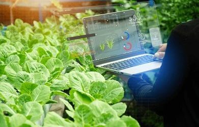 Colloque « L’agriculture au prisme des data sciences » 3 février 2025