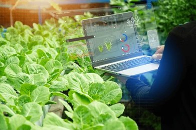 Colloque « L’agriculture au prisme des data sciences » 3 février 2025