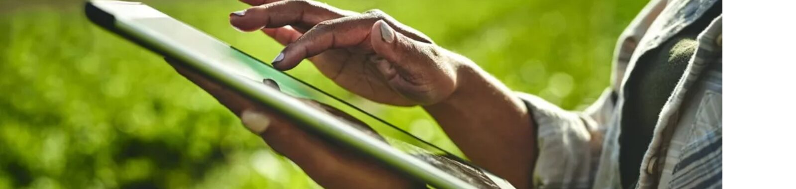 Interview de Sophie Martin dans Les Echos sur le projet TwinFarms